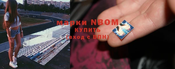 прущие грибы Покровск