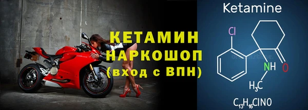 дживик Пересвет