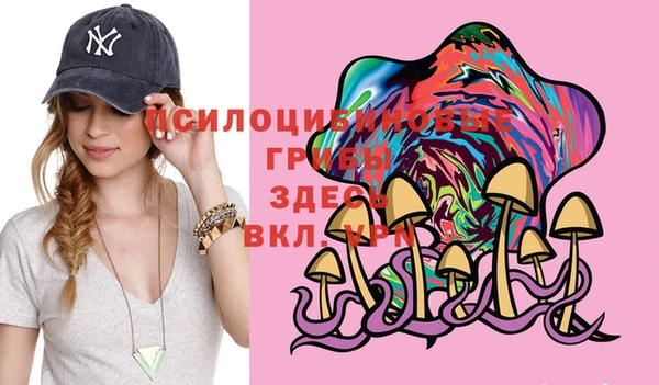 марихуана Абаза